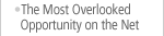 The Most Overlooked Opportunity on the Net